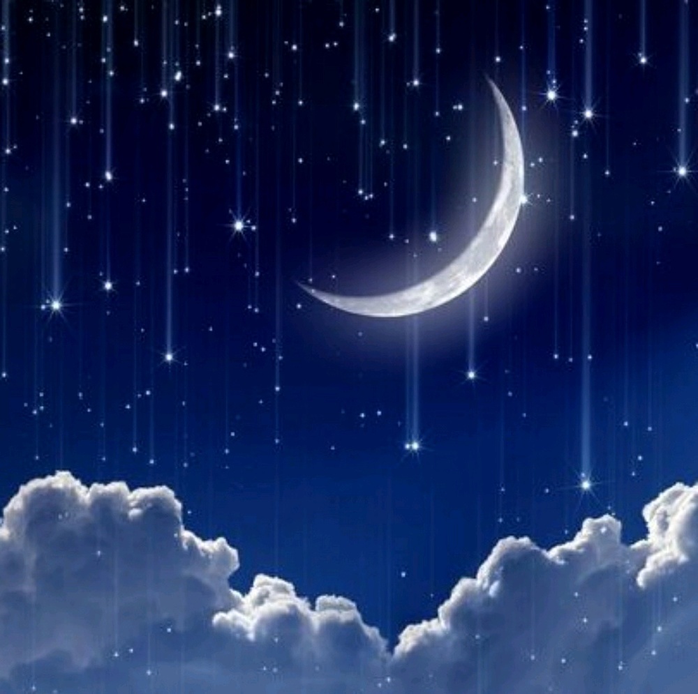 Meet your Posher, Yesenia